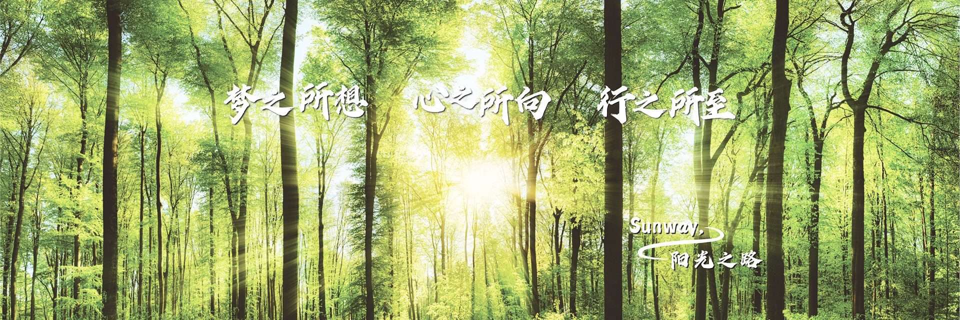 ec7a9749e0b1dcf5