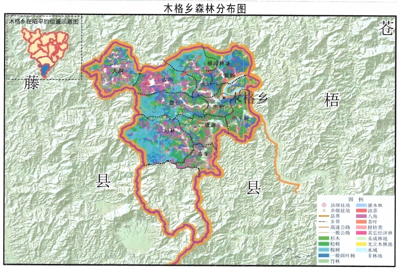 “木格乡丛林散布图”